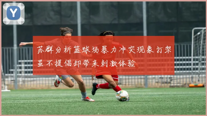 苏群分析篮球场暴力冲突现象打架虽不提倡却带来刺激体验