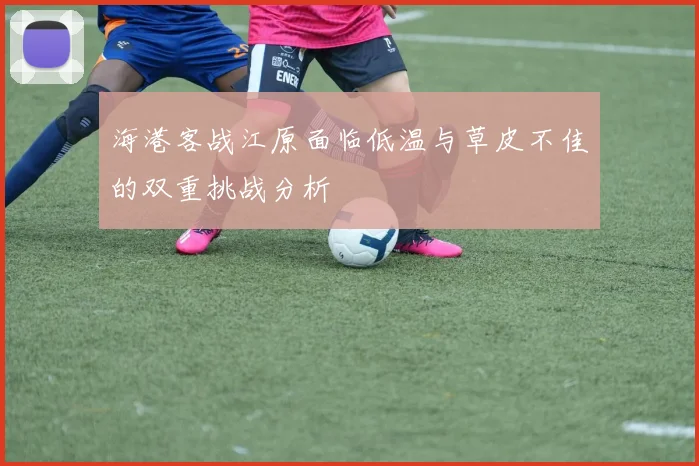 海港客战江原面临低温与草皮不佳的双重挑战分析
