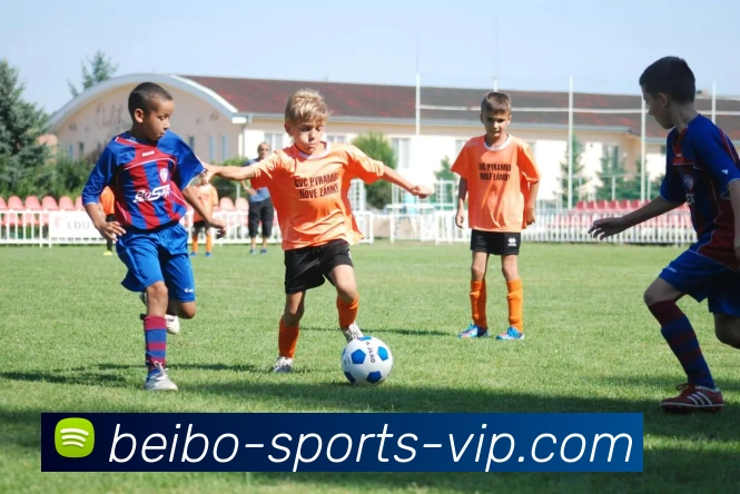 贝博体育官网发展历程